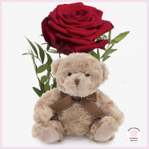 Romantisk rose med bamse